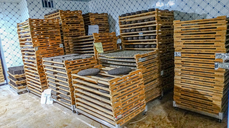 倉(cāng)儲(chǔ)要素之氧氣