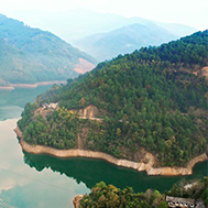  精于茶，良心茶遵循傳統制茶工藝