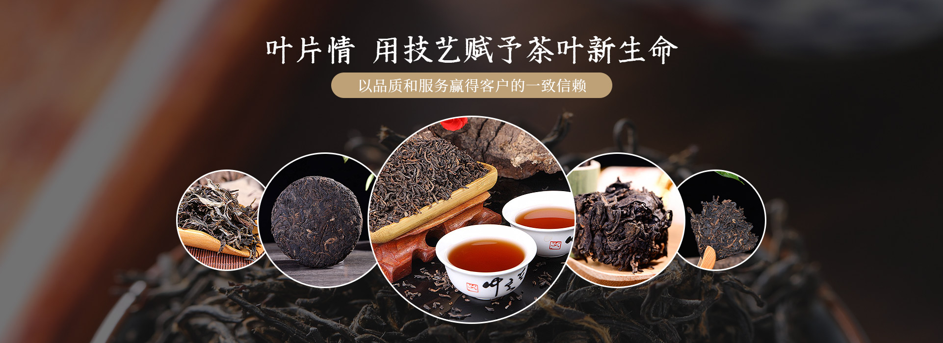 云南普洱茶廠家,專注普洱茶批發(fā)定制