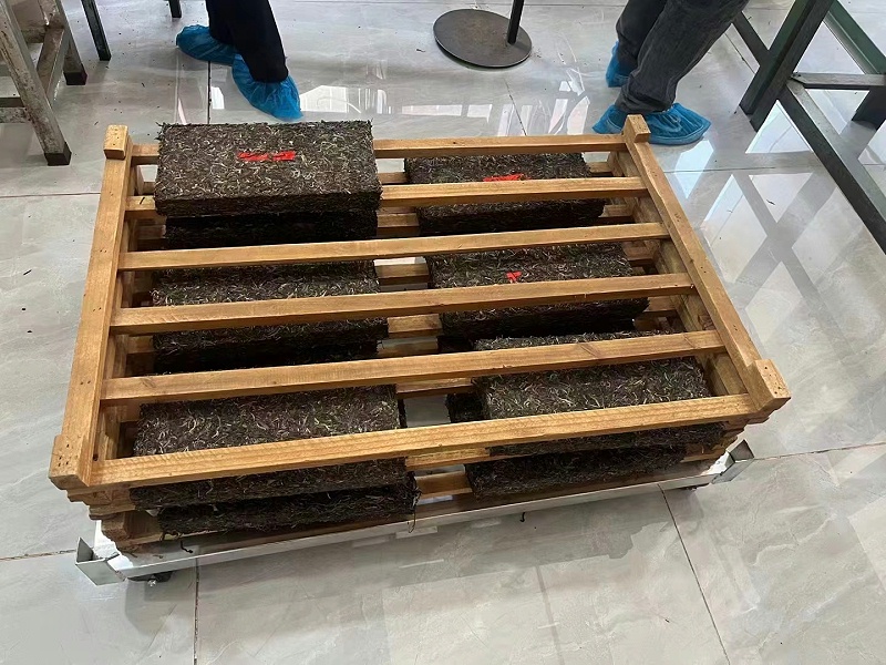 普洱茶的儲存 普洱茶的儲存